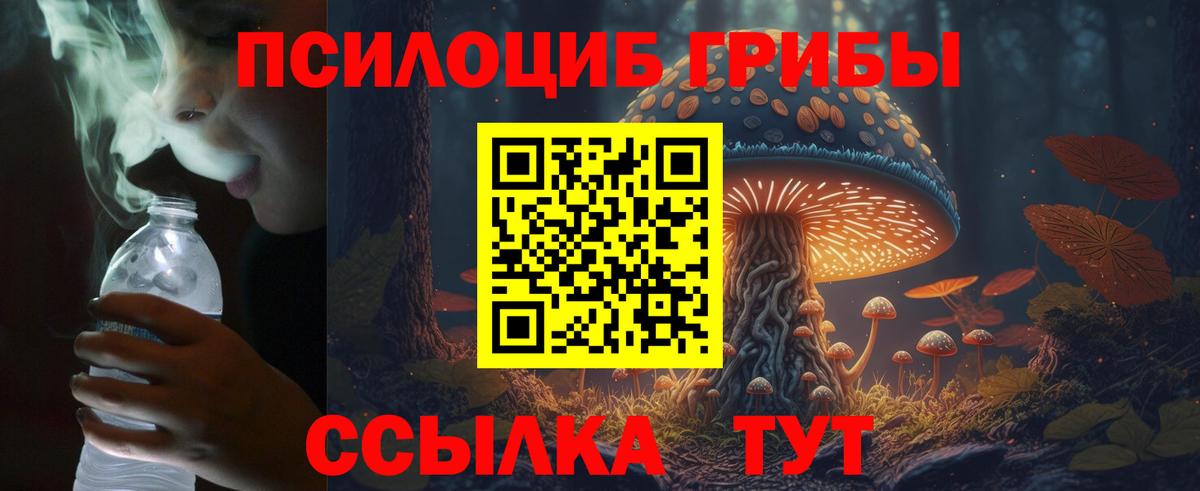 Псилоцибиновые грибы мухоморы  Вход с VPN  Сургут 